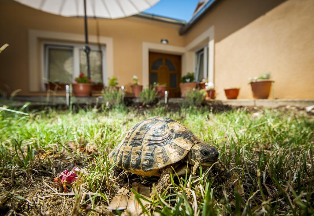 Sebenicum Apartments Szybenik Zewnętrze zdjęcie